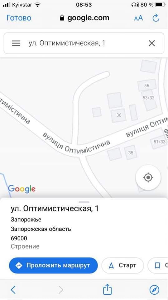 Собака провалилась в ливневку по улице Оптимистической, недалеко от дома №36