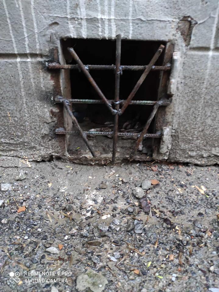 Коммунальщики заварили окна в подвалы решетками, чтобы коты не могли не войти, не выйти оттуда. Фото: fb Елена Пылова