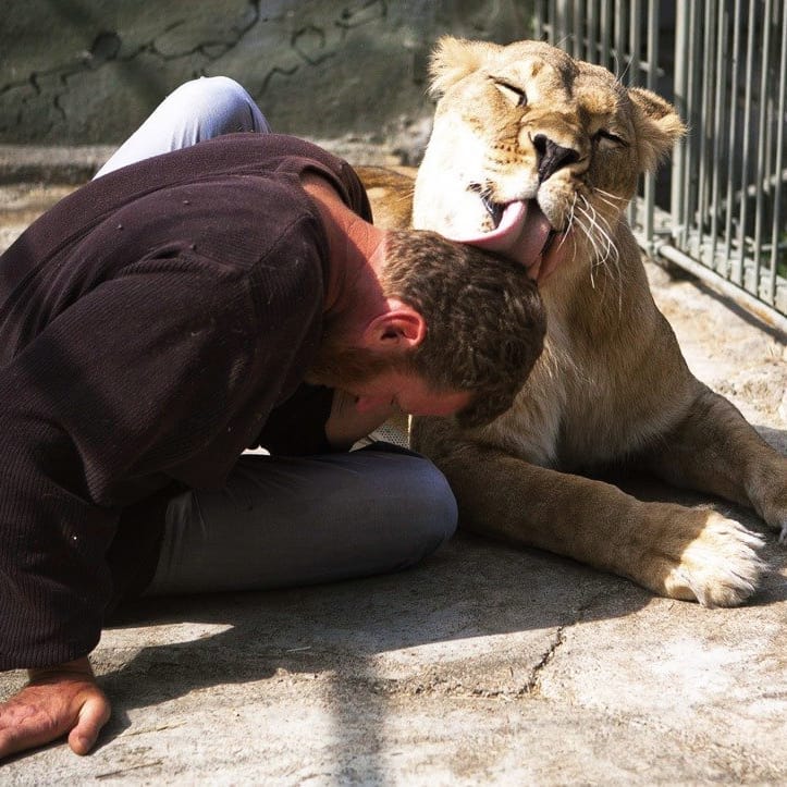 Александр в 2011 году прожил в вольере с Катей 36 дней. Фото: fb HomeZoo 