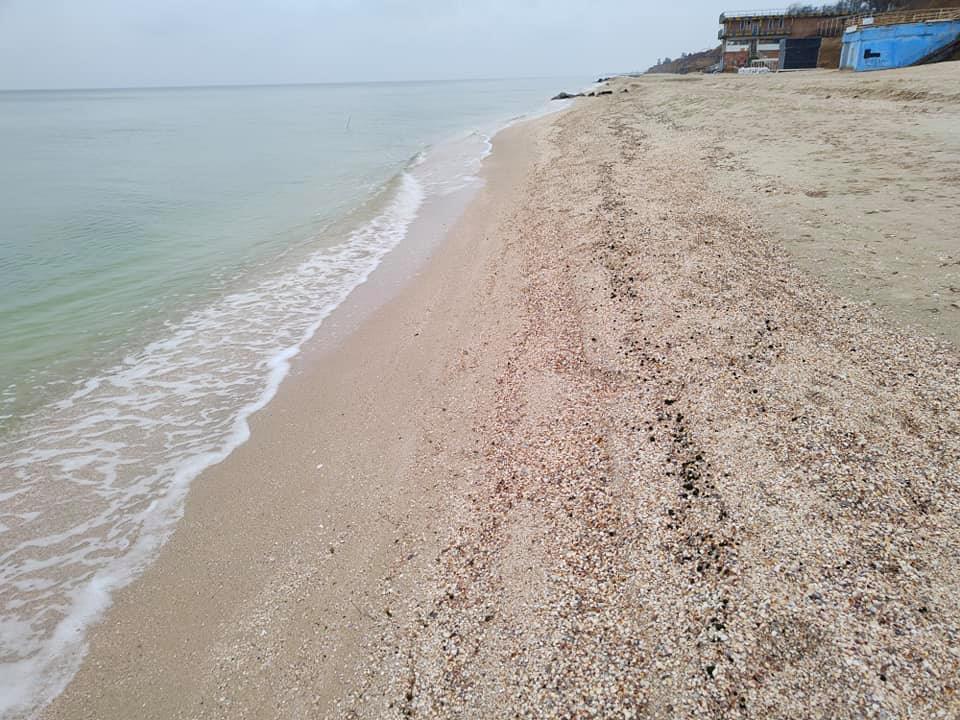 Водорослями усеяно все побережье. Фото: facebook.com/sergey.shubin.167