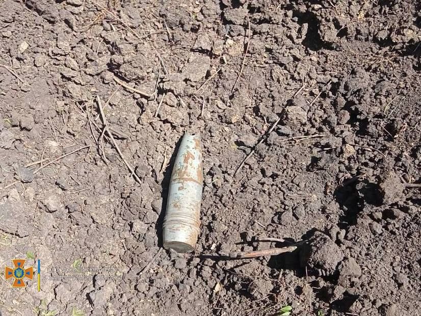 Вражеская авиаракета попала в заповедник 