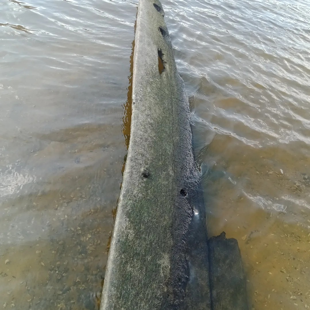 Житель Запорожья нашел на Хортице фрагмент судна, которому 300 лет.