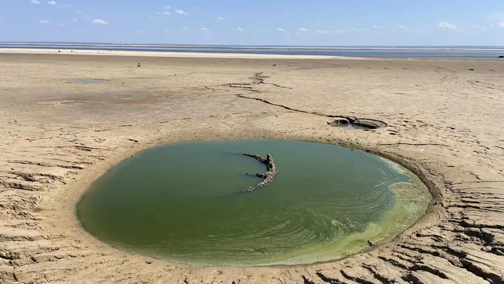 У Запорізький район приїхав відомий журналіст-мандрівник Дмитро Комаров.