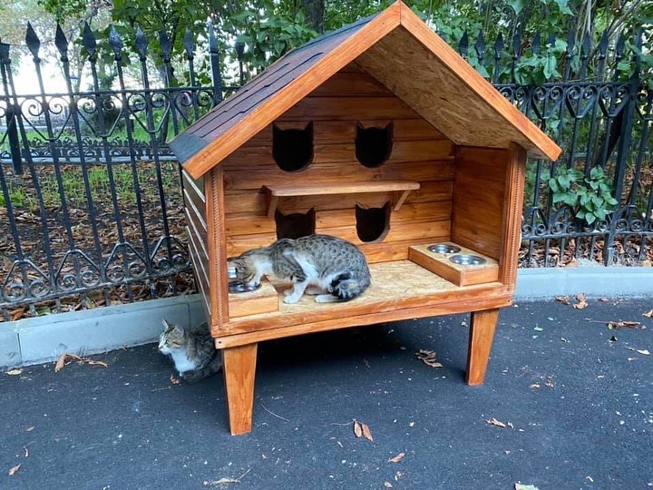 В Запорожье для котиков установили домик. Фото: @koshkin_domik_zp