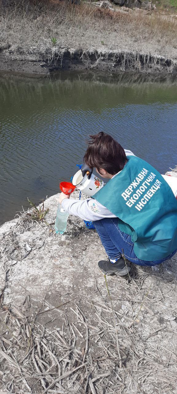 Вероятно, вызван обстрелом ДнепроГЭС: в заливе Днепра обнаружили мор рыбы.