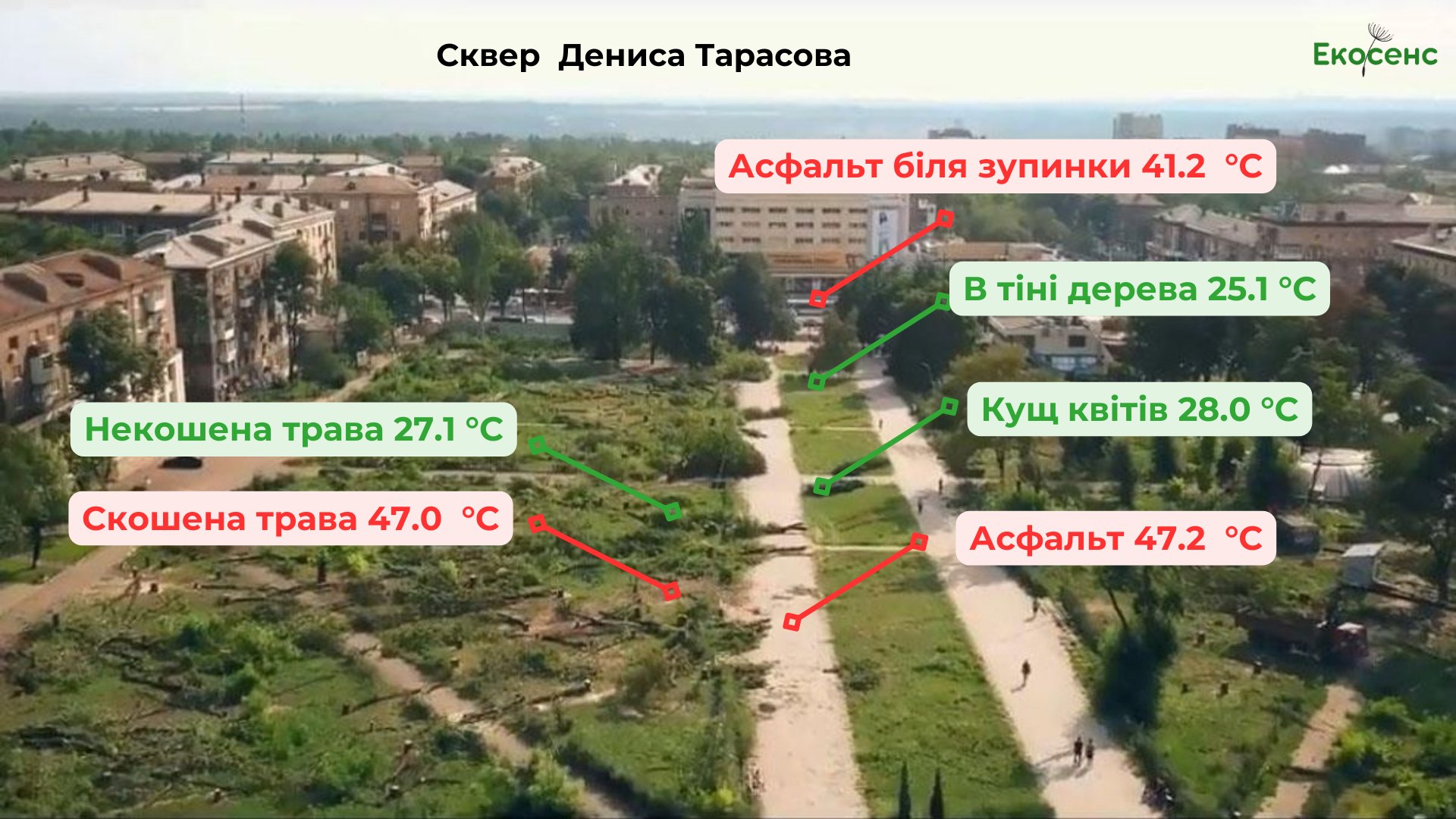 В Запорожье провели измеренную температуру асфальта и в тени деревьев. || Фото: facebook.com/ecosense.ngo
