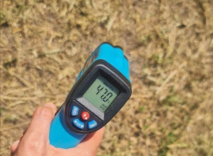 В Запорожье провели измеренную температуру асфальта и в тени деревьев.