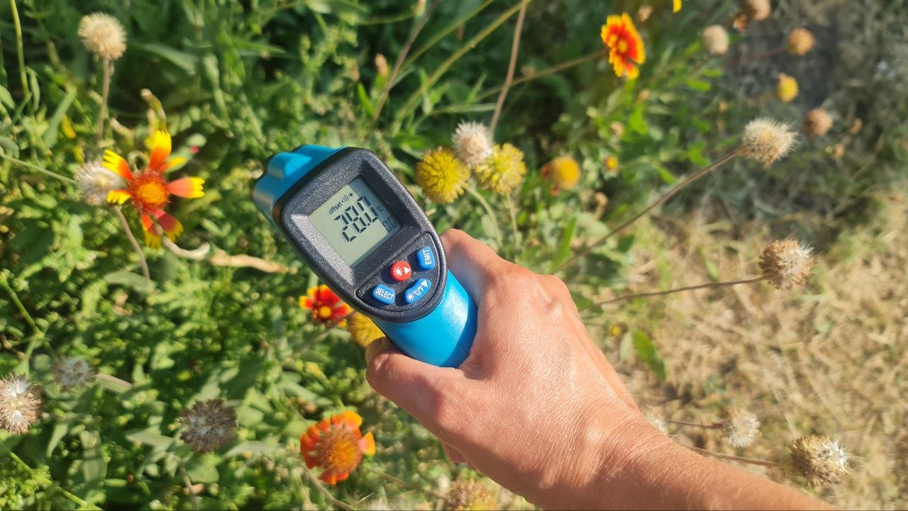 В Запорожье провели измеренную температуру асфальта и в тени деревьев.