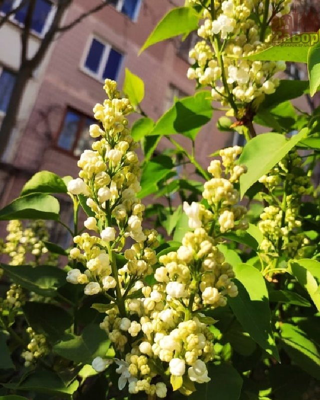 Фото: "Забор"