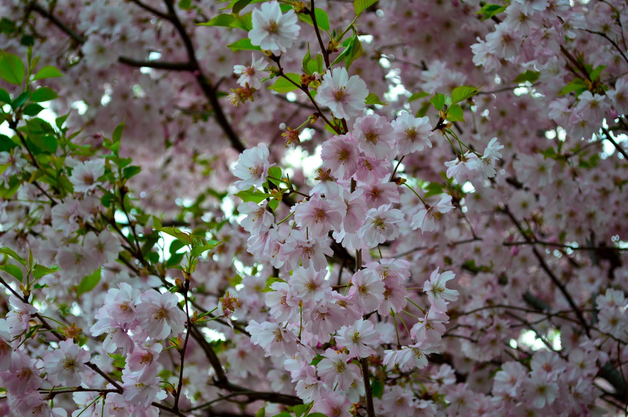 Фото: fb Александр Александрович