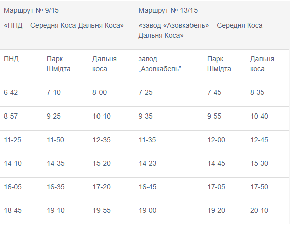 Теперь не нужно идти пешком: в Бердянске запустили маршрутки на косу фото 3 2