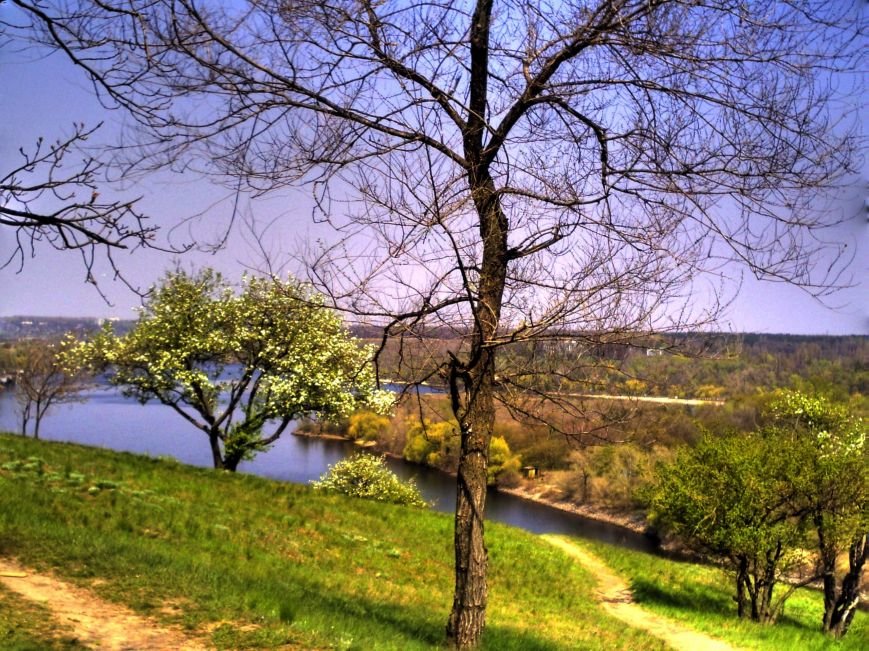 Где в Запорожье можно жарить шашлыки.