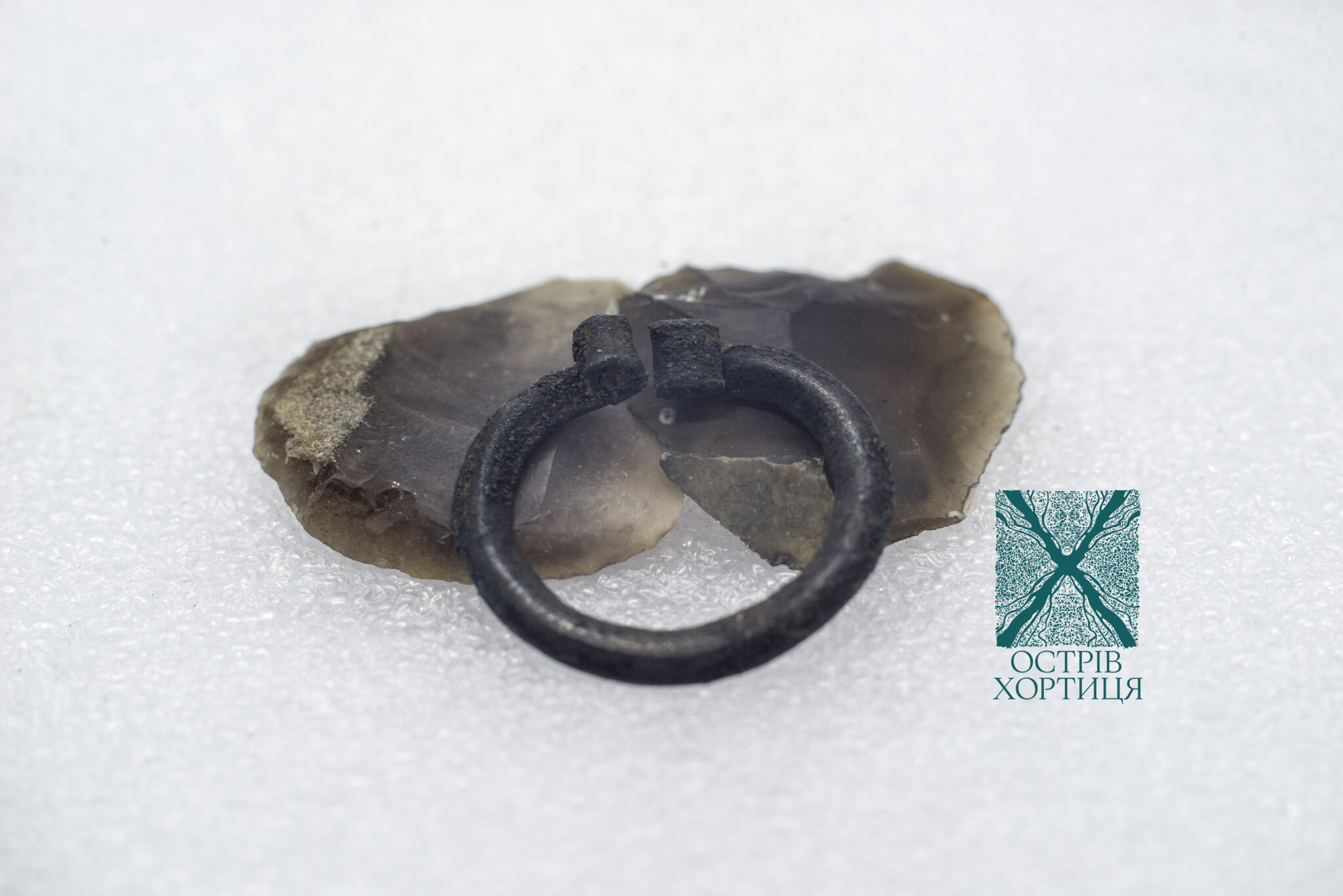 Фибула-сюльгама.