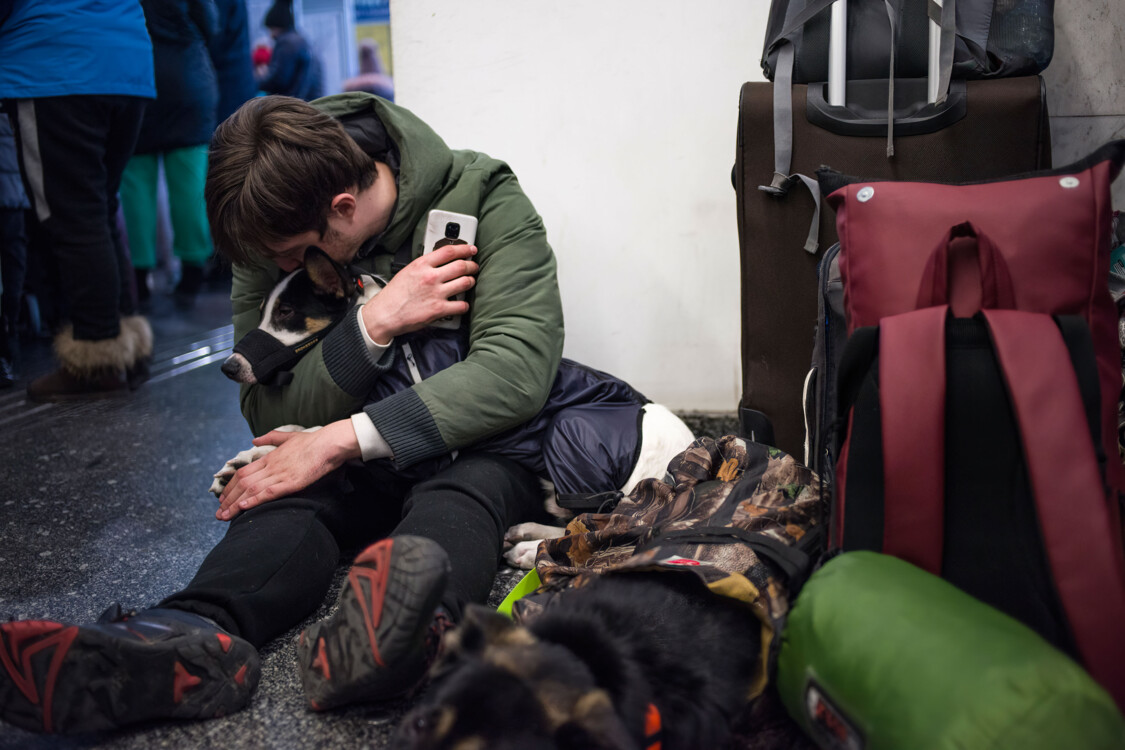 Що робити, якщо ви не можете забрати тварину з собою.