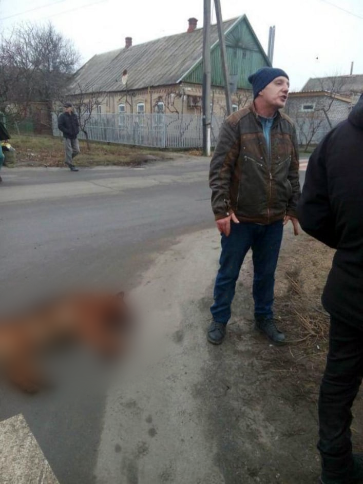 Зоозащитники пытаются найти виновников. Фото из соцсети