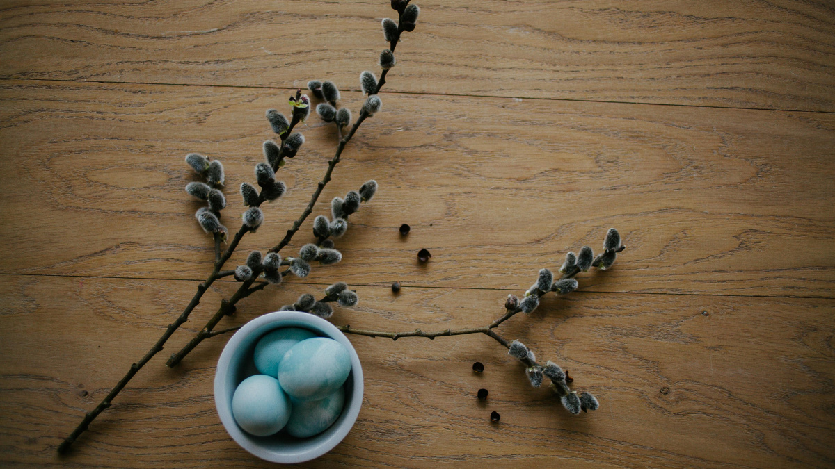 Коли Вербна неділя у 2025 році: традиції, прикмети та головні заборони.