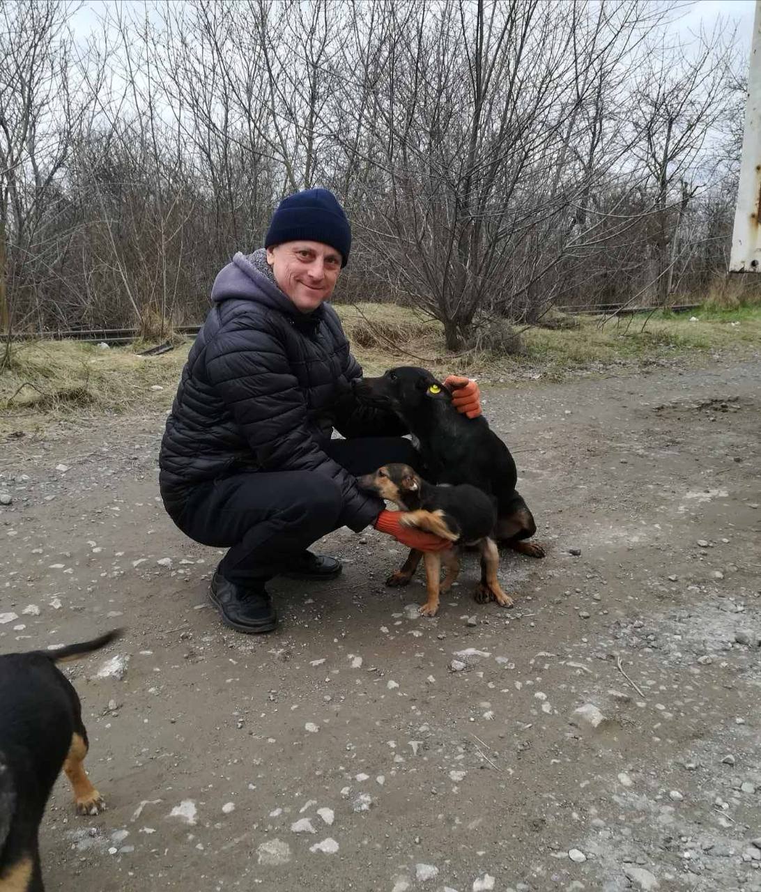 У Запоріжжі скорочують чисельність безпритульних тварин гуманним методом.