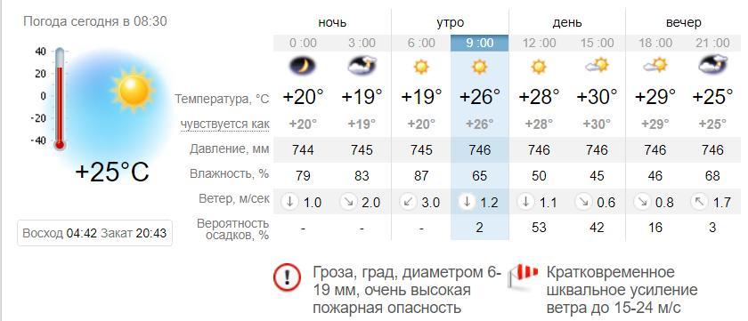 Погода в Запорожье на 30 июня. sinoptik.ua