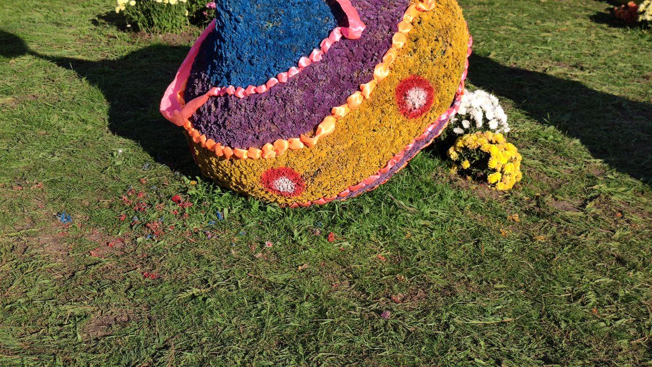 Многие скульптуры из хризантем уже растерзанны, видимо, многие пытались обнимать их. Фото: Vgorode