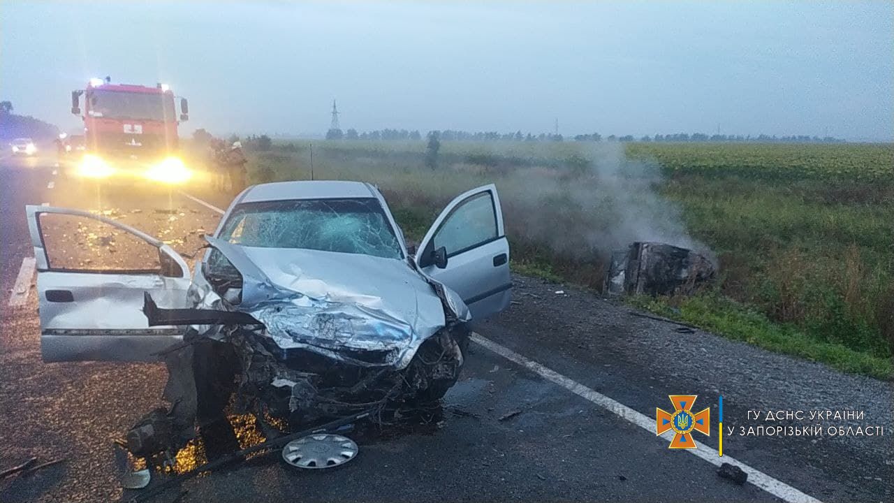В ДТП погибли пятеро человек: трое детей и двое взрослых, которые сгорели заживо. Фото: ГСЧС