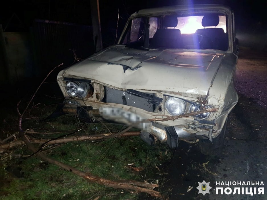 В селе под Запорожьем пьяный водитель сбил насмерть двух пешеходов.