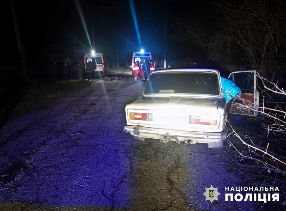 В селе под Запорожьем пьяный водитель сбил насмерть двух пешеходов.