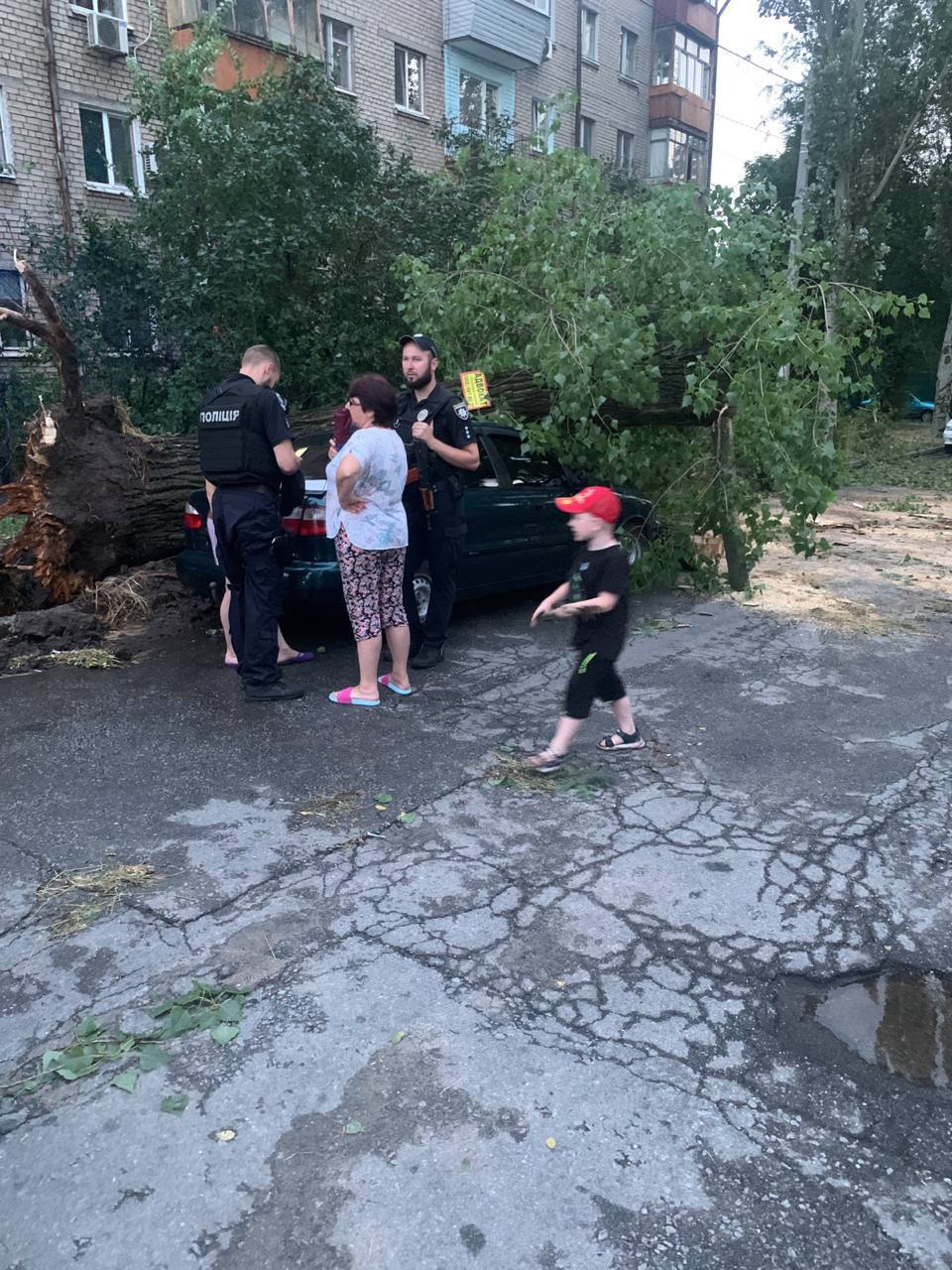 Упавшие деревья и разрушенные электросети: в Запорожье устраняют последствия непогоды.