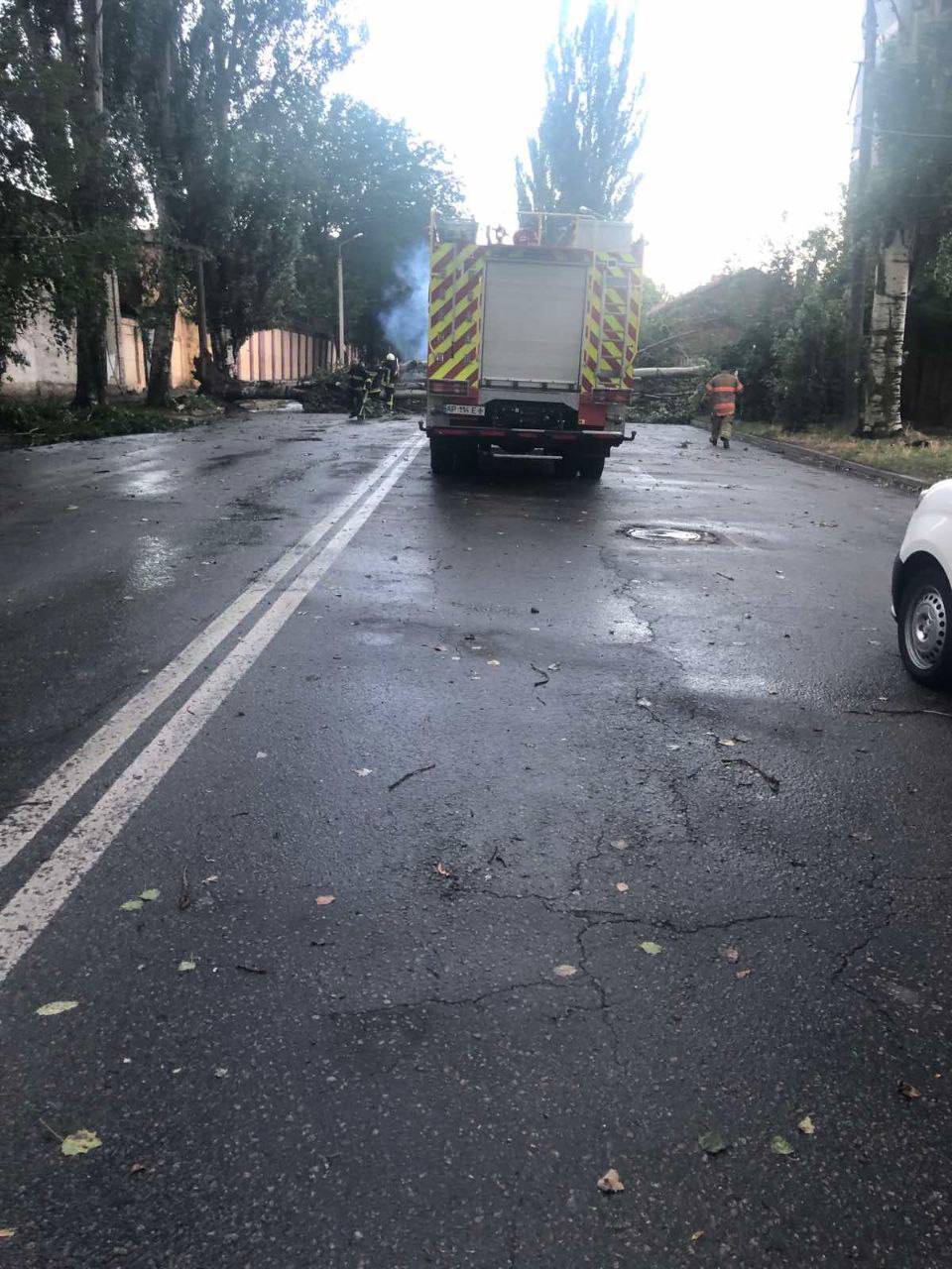 Упавшие деревья и разрушенные электросети: в Запорожье устраняют последствия непогоды.