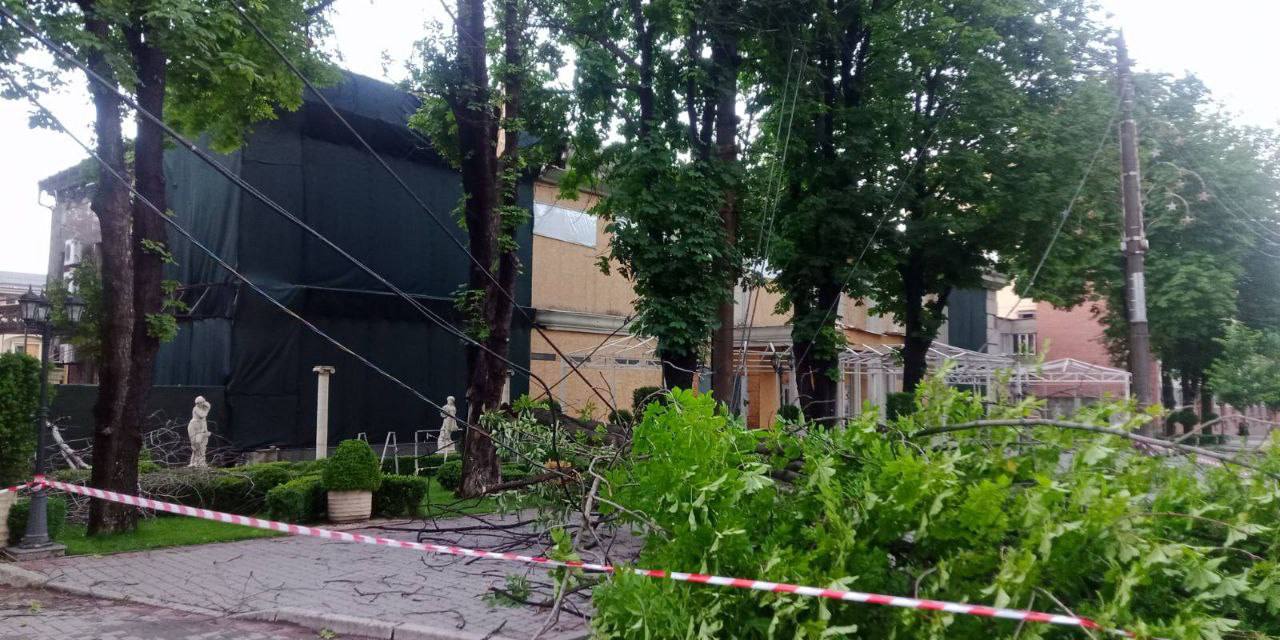 Упавшие деревья и разрушенные электросети: в Запорожье устраняют последствия непогоды.