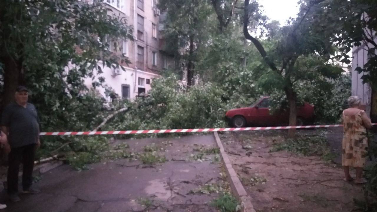 Упавшие деревья и разрушенные электросети: в Запорожье устраняют последствия непогоды.