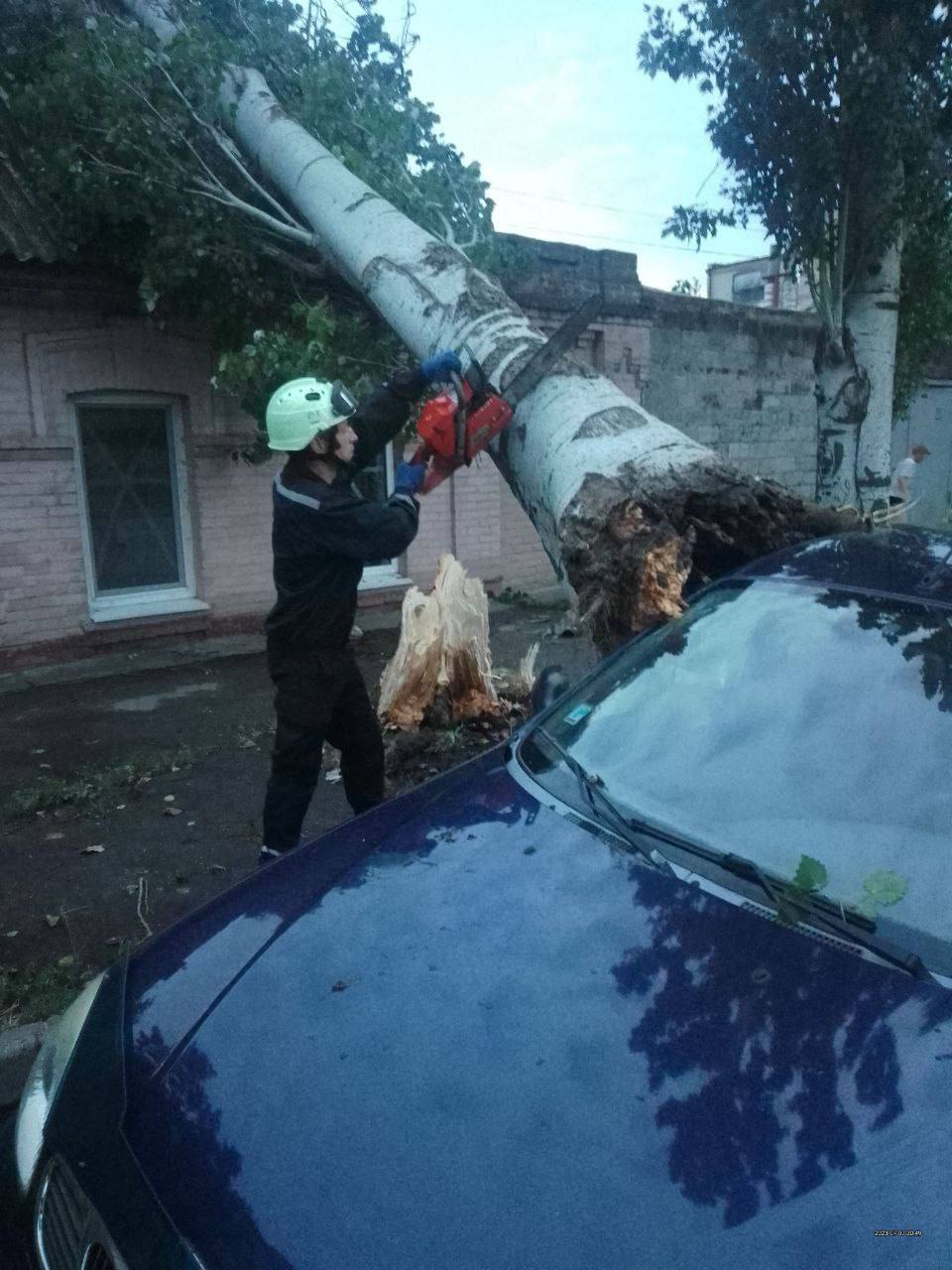 Упавшие деревья и разрушенные электросети: в Запорожье устраняют последствия непогоды.