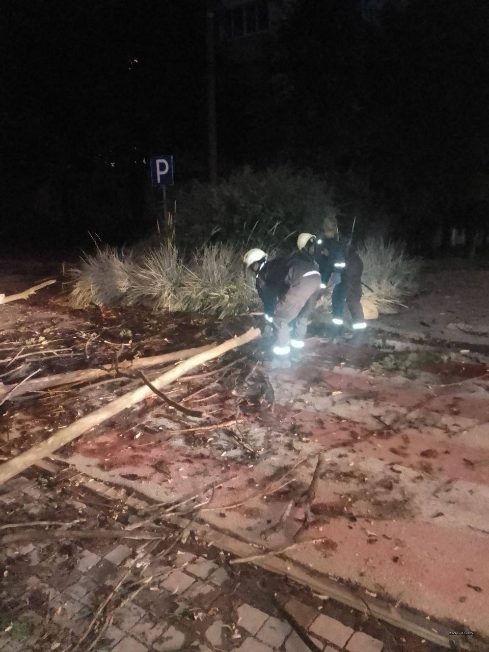 Упавшие деревья и разрушенные электросети: в Запорожье устраняют последствия непогоды.
