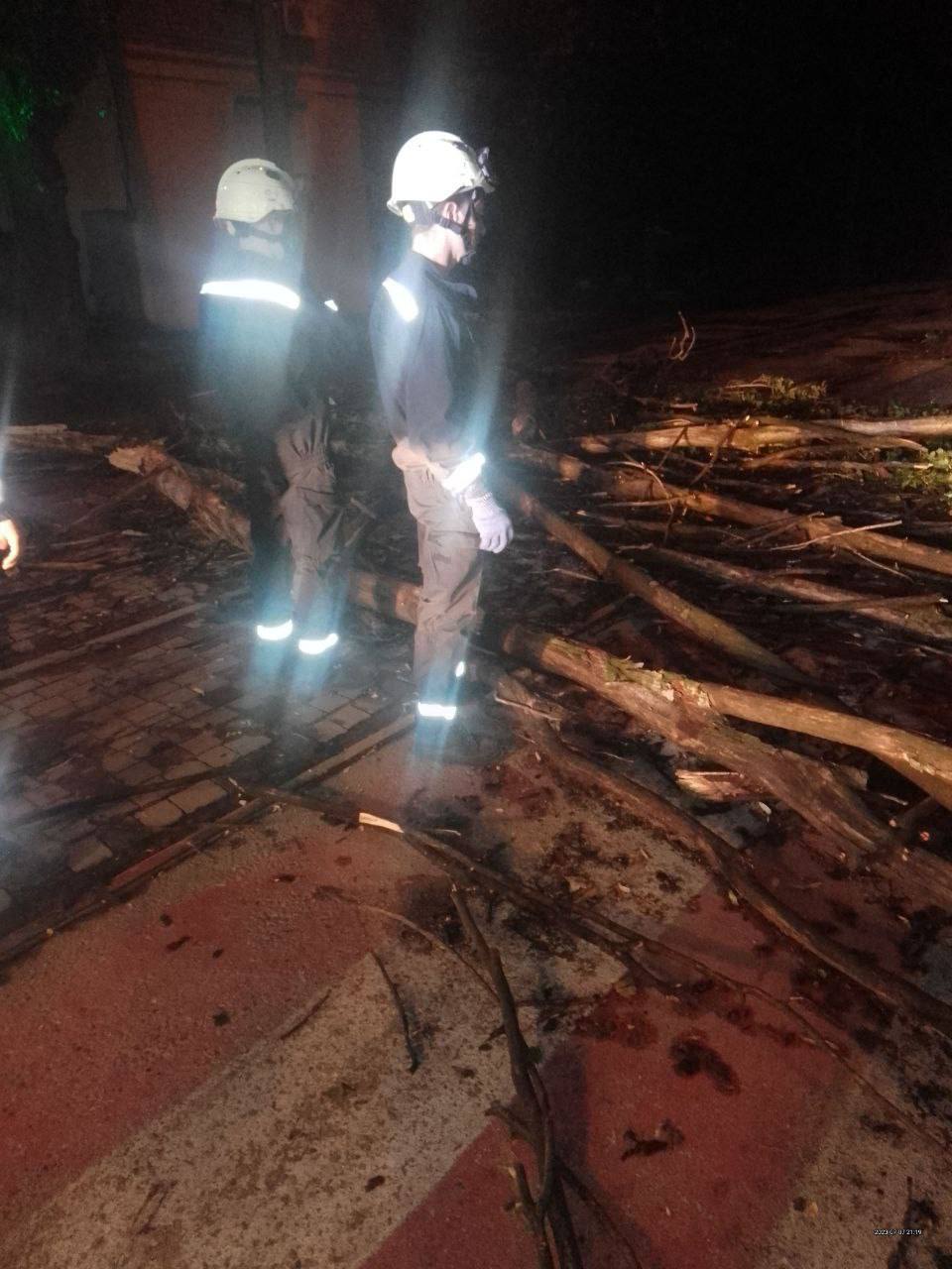 Упавшие деревья и разрушенные электросети: в Запорожье устраняют последствия непогоды.