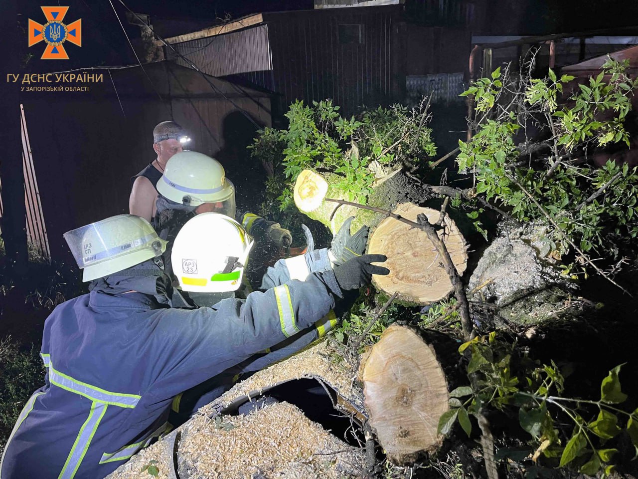 Ненастье в Запорожье 17 июля: из-за сильного ветра деревья попадали на автомобили.