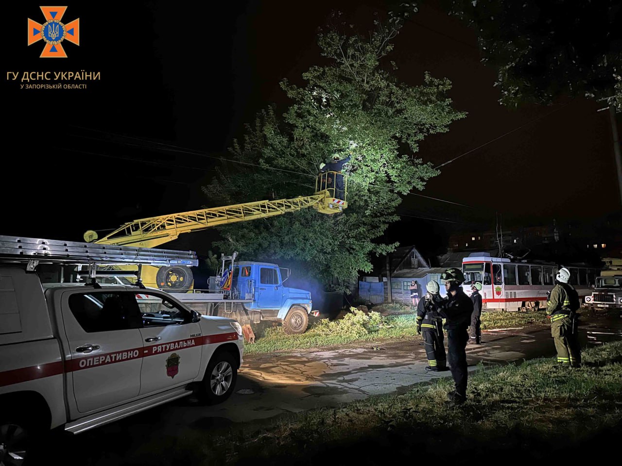 Ненастье в Запорожье 17 июля: из-за сильного ветра деревья попадали на автомобили.