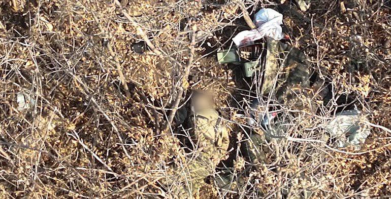 На Запорізькому напрямку росіяни розстріляли українських військовополонених. || Фото: t.me/ssternenko