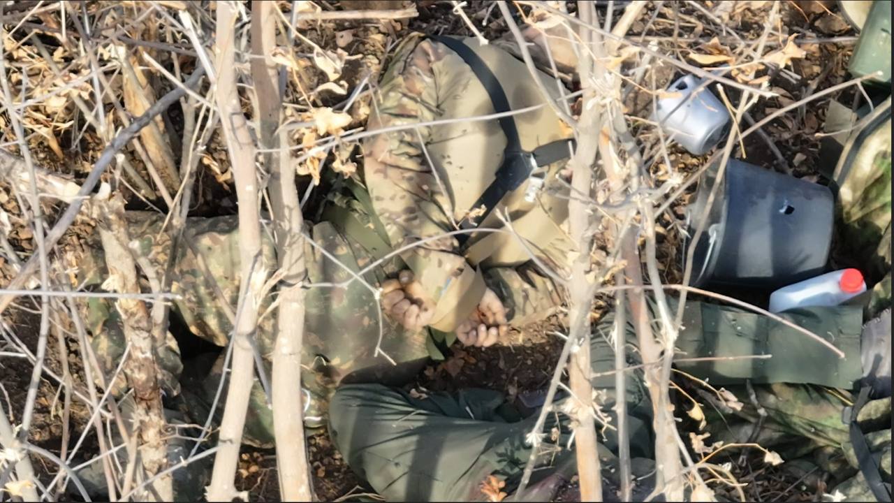 На Запорізькому напрямку росіяни розстріляли українських військовополонених.