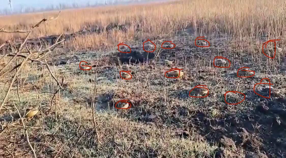 Военные показали плотно заминированные поля в Запорожской области. || Фото: t.me/ivan_fedorov_melitopol