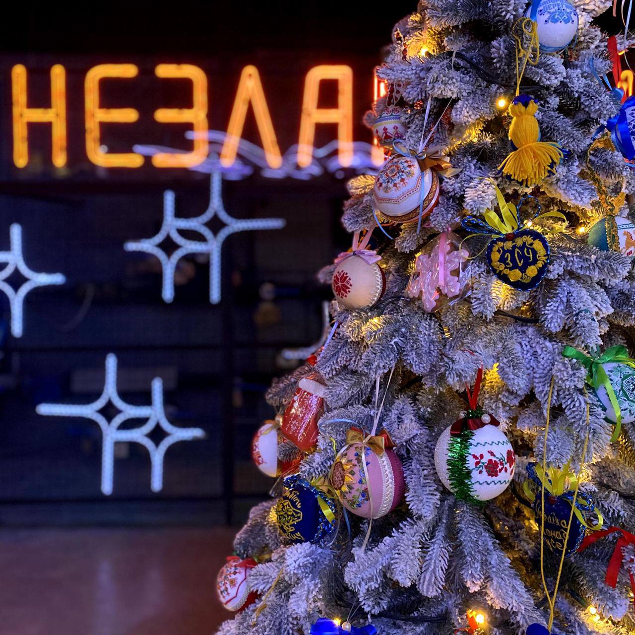 Стало відомо, чи встановлять на площі у Запоріжжі головну ялину.