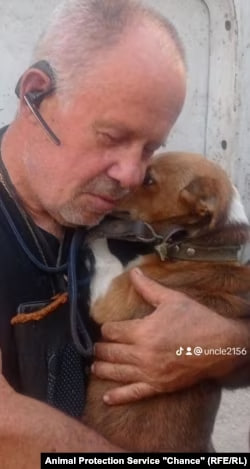 Песик жил пол года сам, с началом полномасштабной войны хозяева его покинули