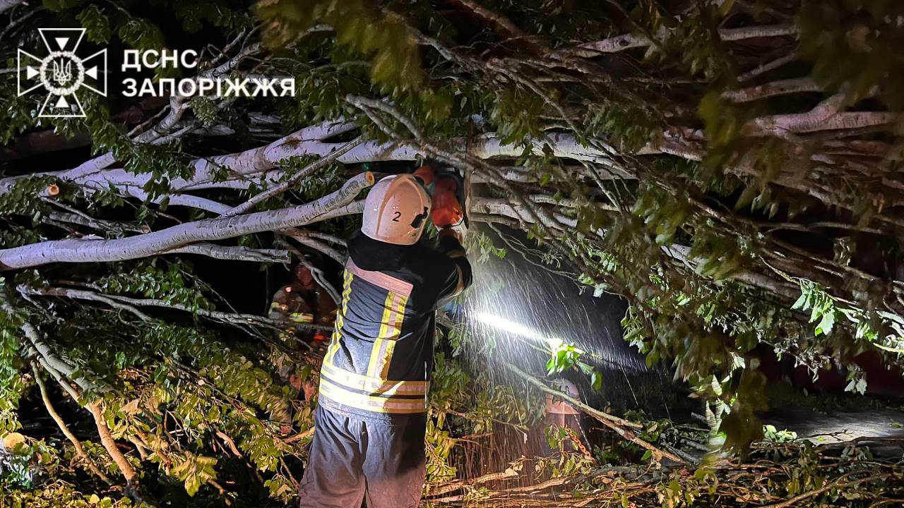 Повалені дерева та зруйновані електромережі: у Запоріжжі усувають наслідки негоди.