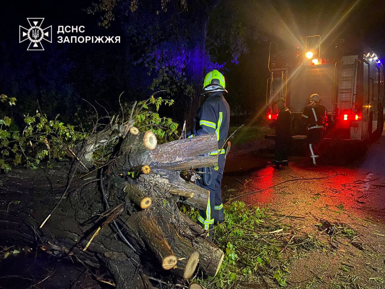 Повалені дерева та зруйновані електромережі: у Запоріжжі усувають наслідки негоди.