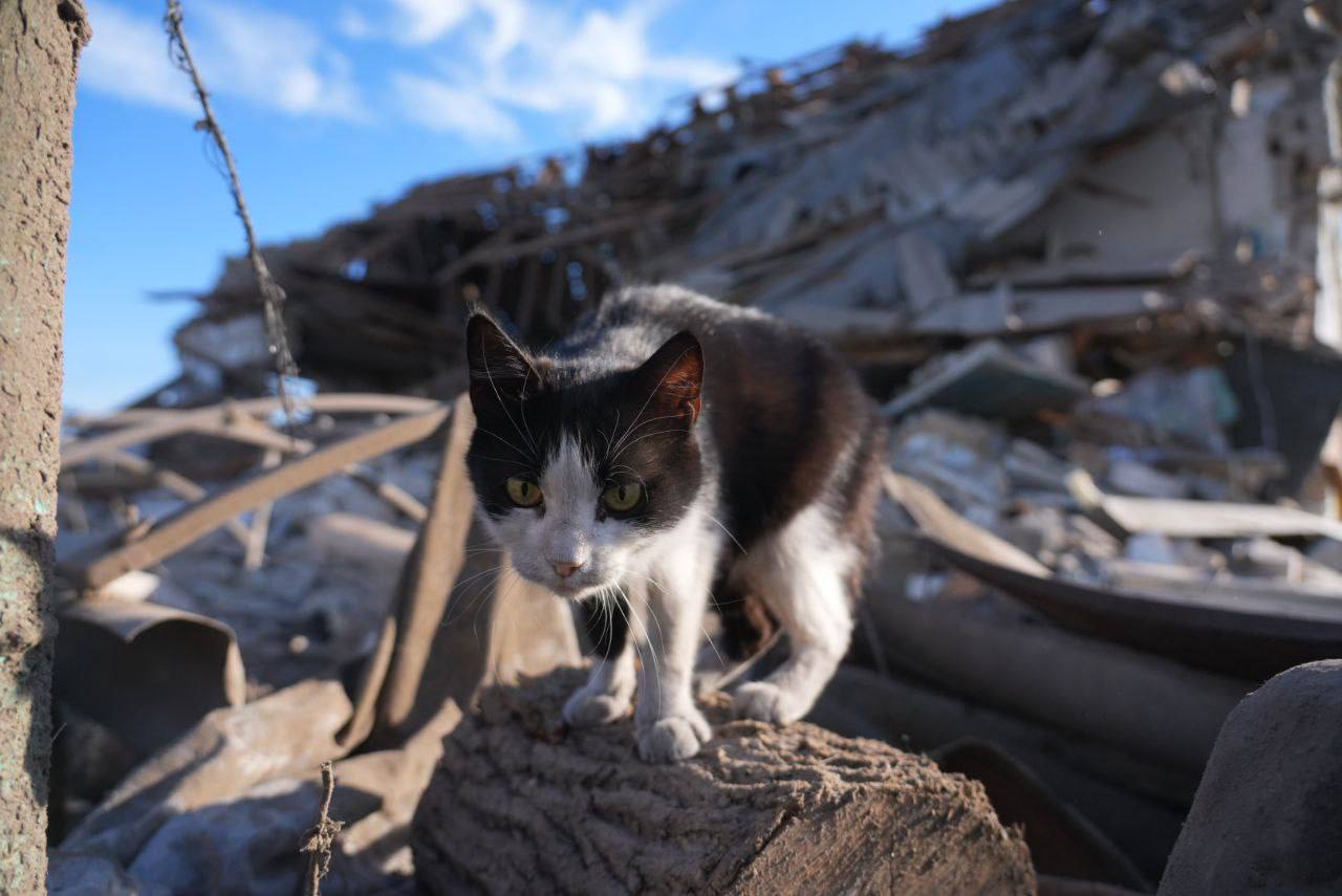 РФ нанесла авиаудары по Запорожскому району: есть погибшие и раненые.