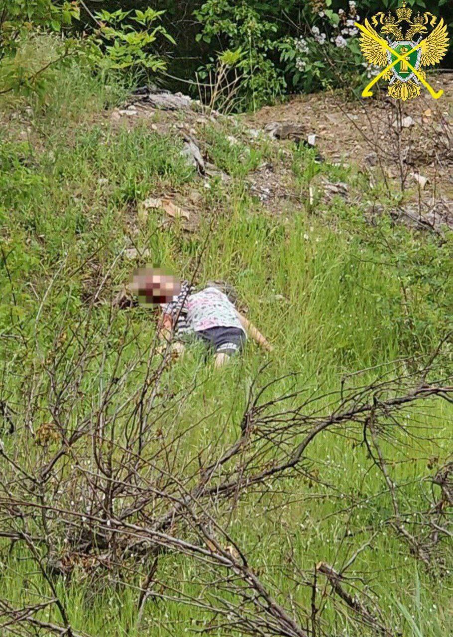 Загибла 7-річна Ангеліна Беспалько. Фотио: росЗМІ