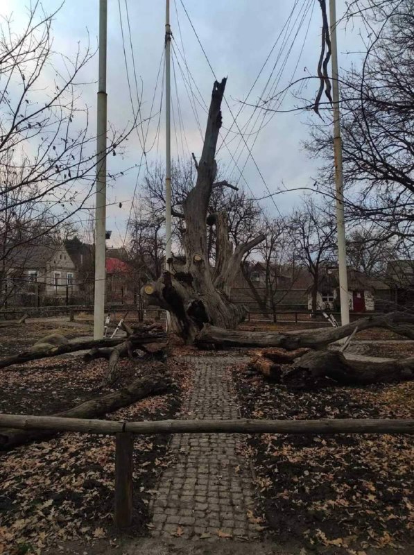 Как можно состарить дерево в домашних условиях: что нужно для браширования своими руками, видео