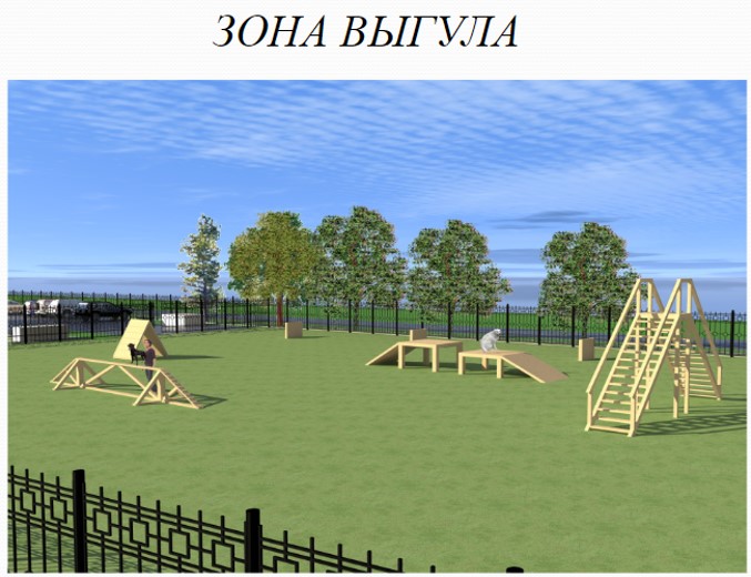 В Запорожье хотят построить современное убежище для бездомных животных.