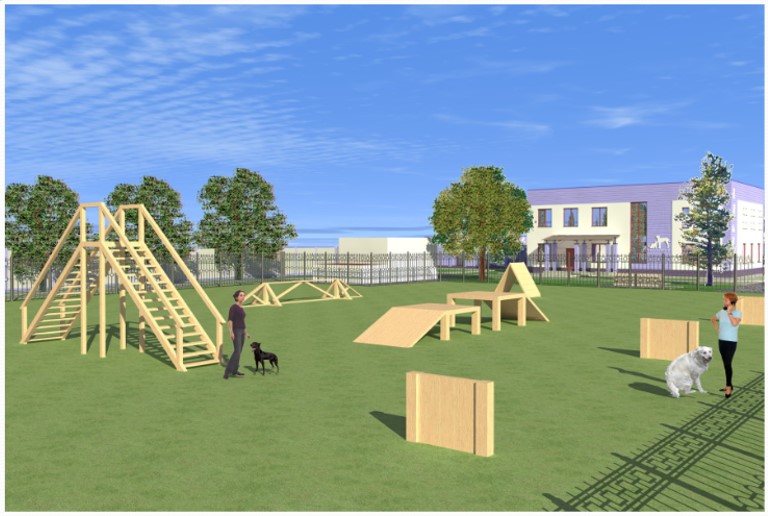 В Запорожье хотят построить современное убежище для бездомных животных.