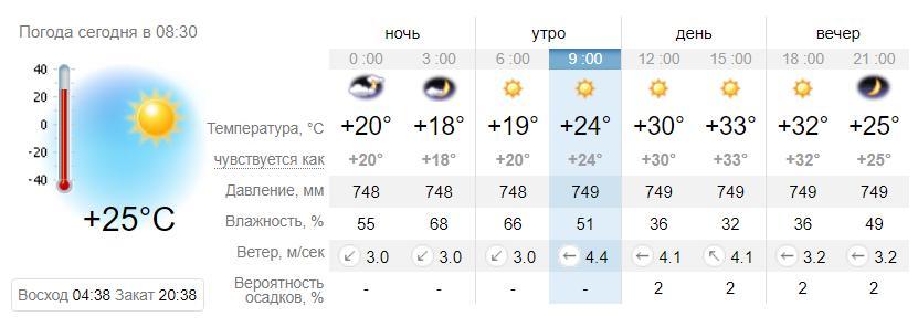 Погода в Запорожье на 9 июня. sinoptik.ua