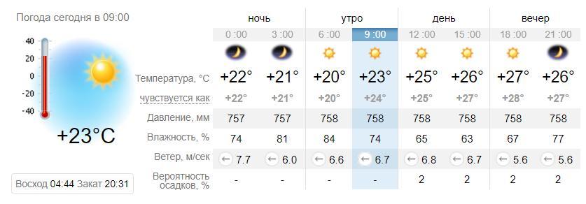 Погода в Кирилловке на 9 июня. sinoptik.ua