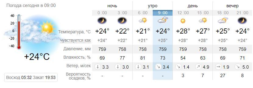 Погода в Кирилловке на 12 августа. sinoptik.ua